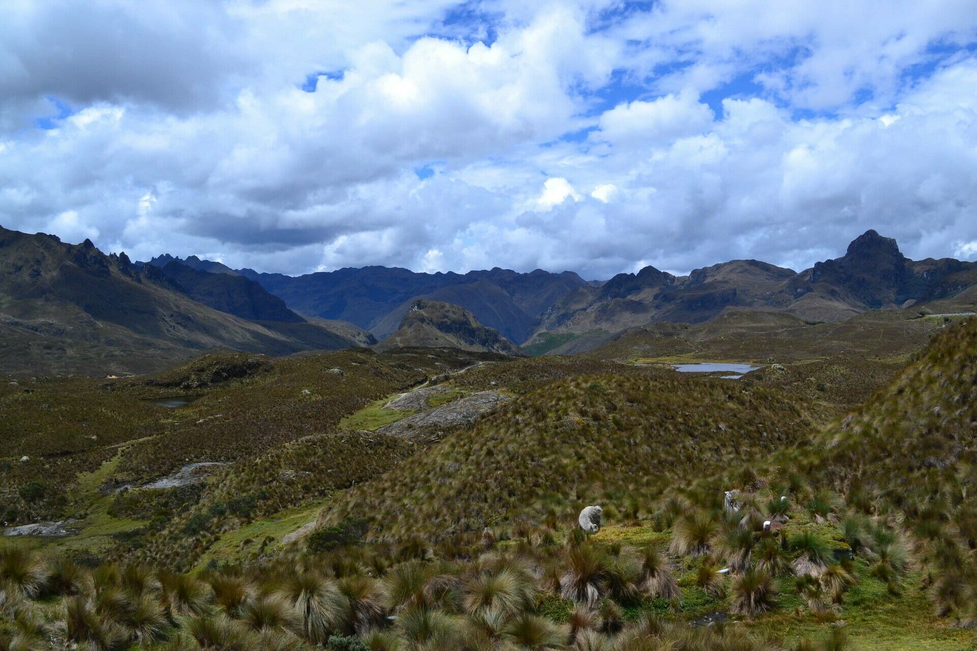 SARAGURO - VILCABAMBA 0