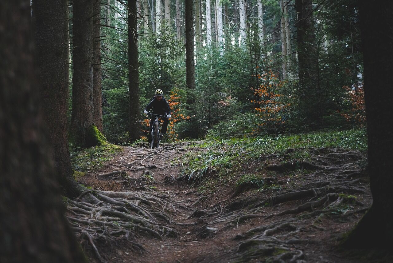 PARC DE HOSSA - VTT DANS LA TAÏGA 0