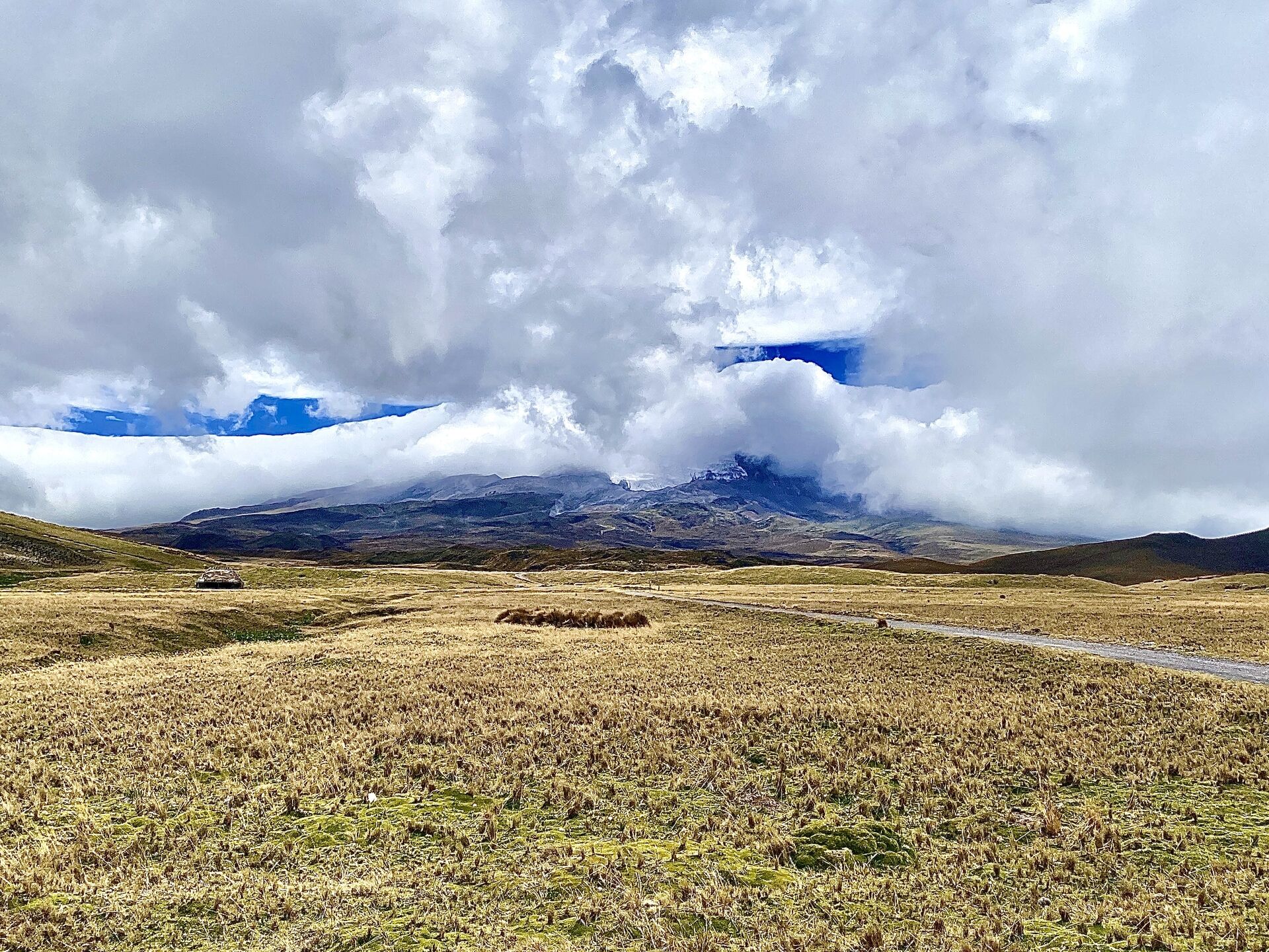 CHASQUI - PARC NATIONAL COTOPAXI - CHASQUI 0