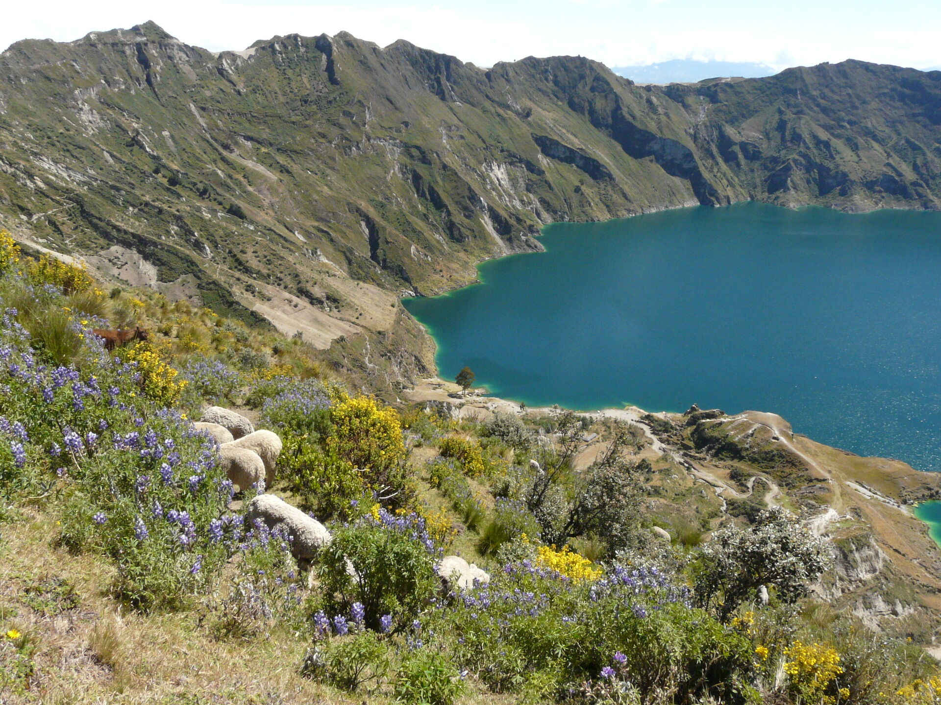 TIGUA - LAGUNE DU QUILOTOA - CHASQUI 0