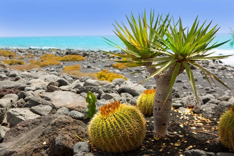 Circuit Evasion à Lanzarote depuis l'Hôtel Barcelo Playa Blanca 4*
