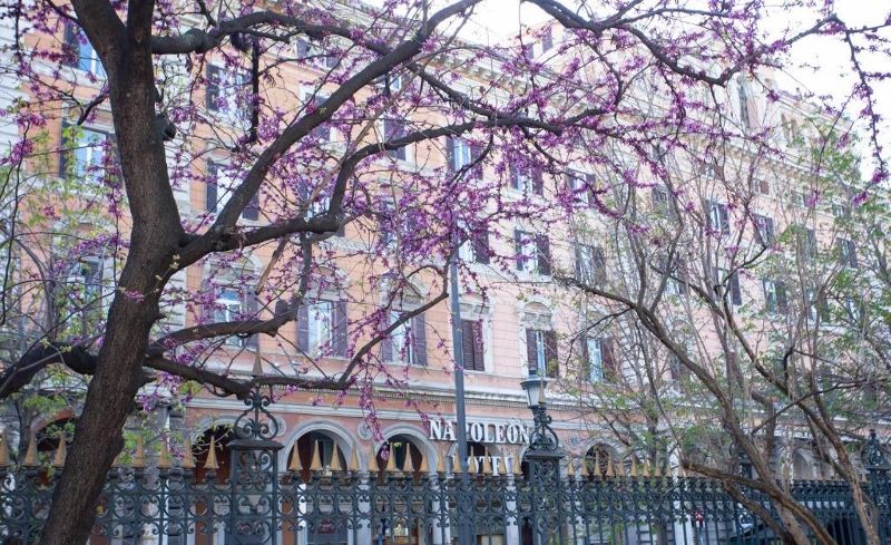 Hôtel Napoleon 4* - Sans transfert