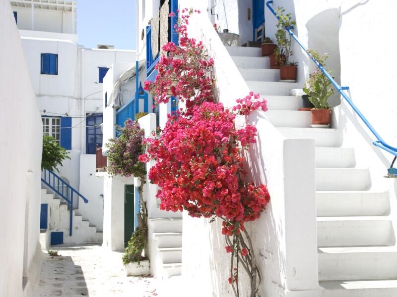 Combiné Mykonos et Santorin 3*