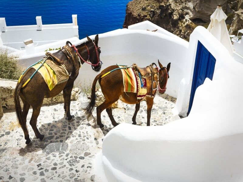 Combiné Santorin Naxos Paros en 3*