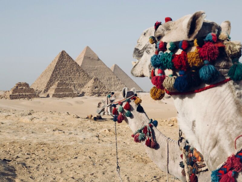 Circuit Pharaons Megastars