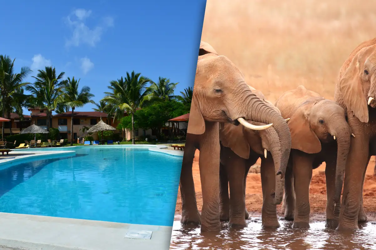 Kappa Club Crystal Bay Resort 4*sup + Safari Ngutuni