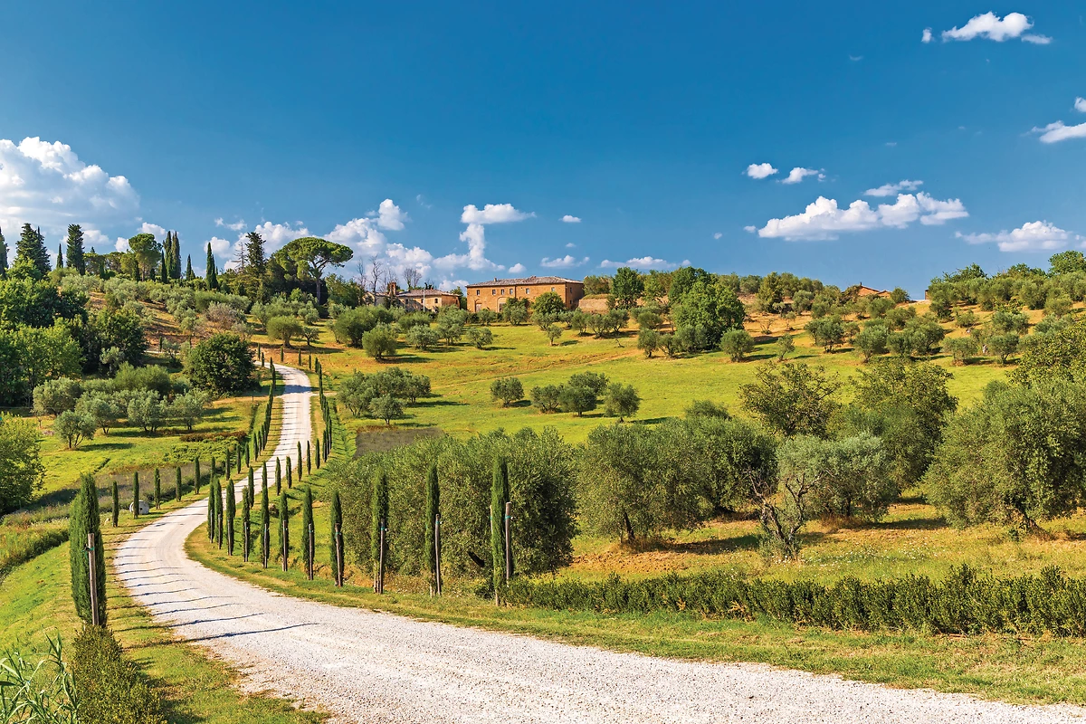 SIENNE & SAN GIMIGNANO (255 km)