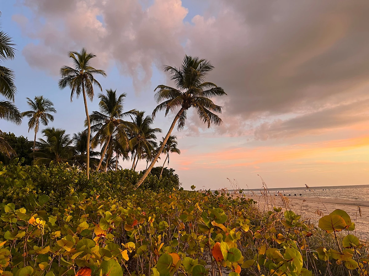 Autotour Best of Florida