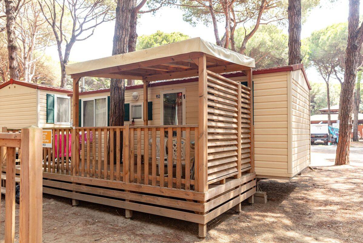 Description 1