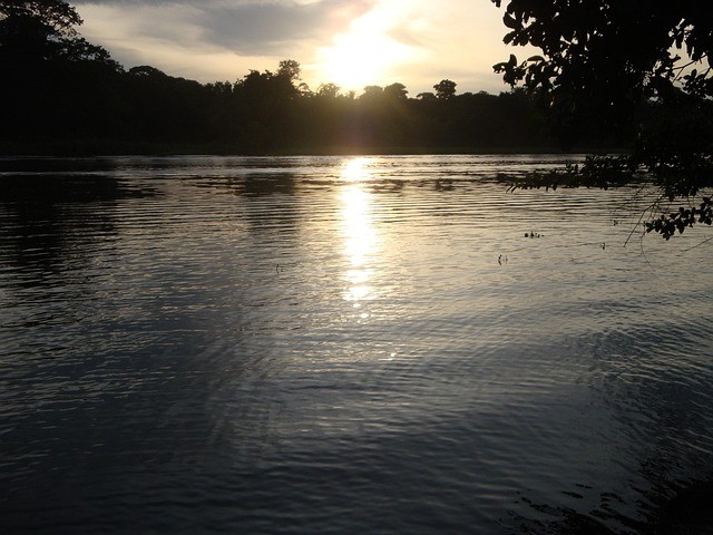 Jour 10: TORTUGUERO  2