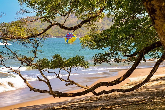 Jour 14: MANUEL ANTONIO  1