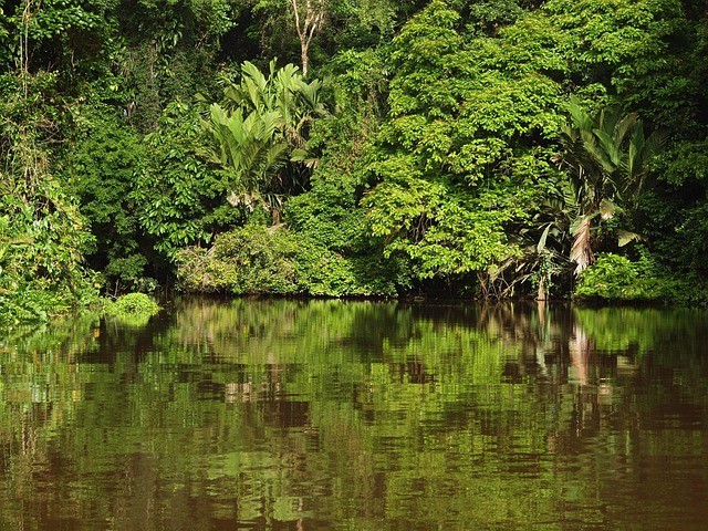 Jour 11: TORTUGUERO / SAN JOSE  0