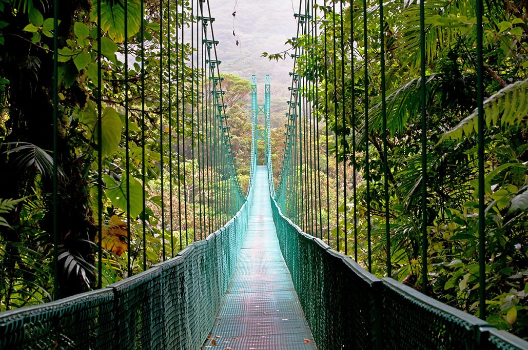 Jour 3: SAN JOSE / SARCHI / GRECIA / LA FORTUNA  (160 km – environ 4h30) 0
