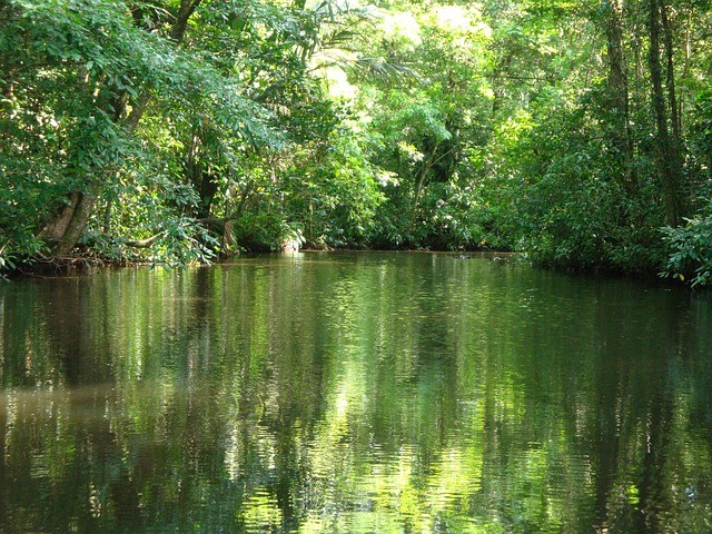 Jour 9: SAN JOSE / TORTUGUERO  0