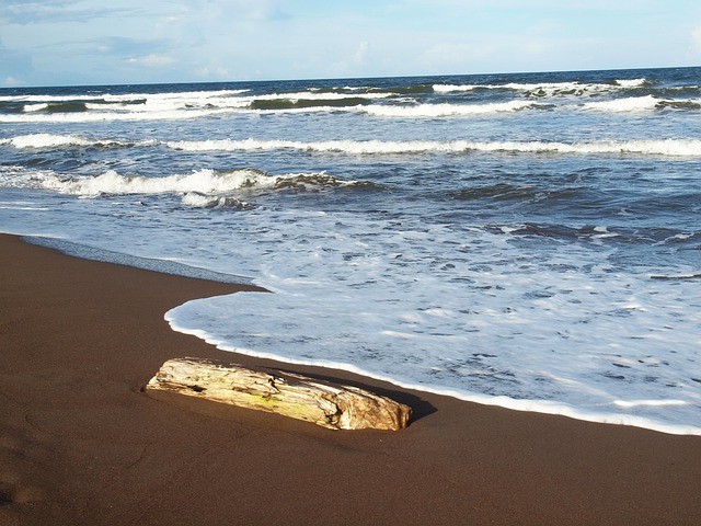 Jour 9: SAN JOSE / TORTUGUERO  1