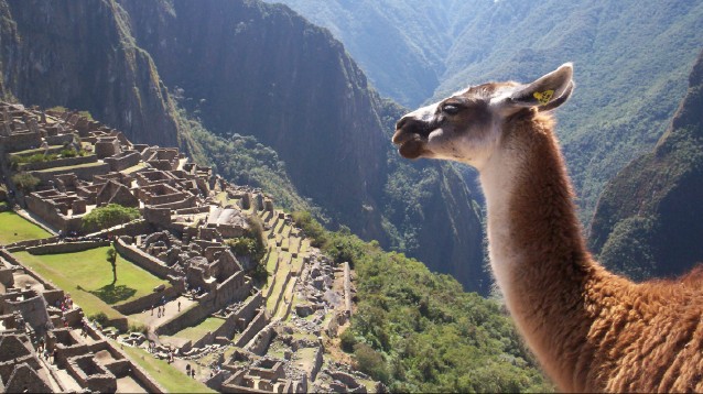 Jour 9: AGUAS CALIENTES > MACHU PICCHU > CUSCO (100 km - environ 3h) 0