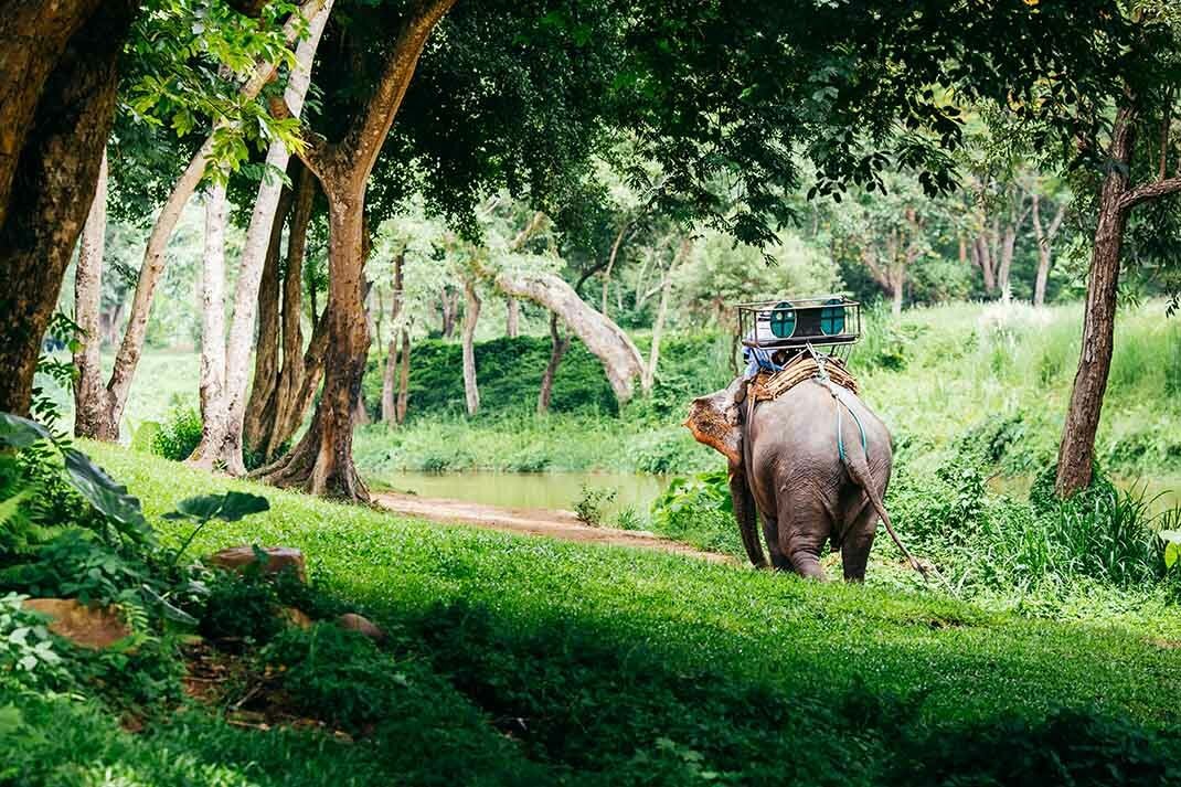 Jour 8: CHIANG MAI – TRAIN DE NUIT 0