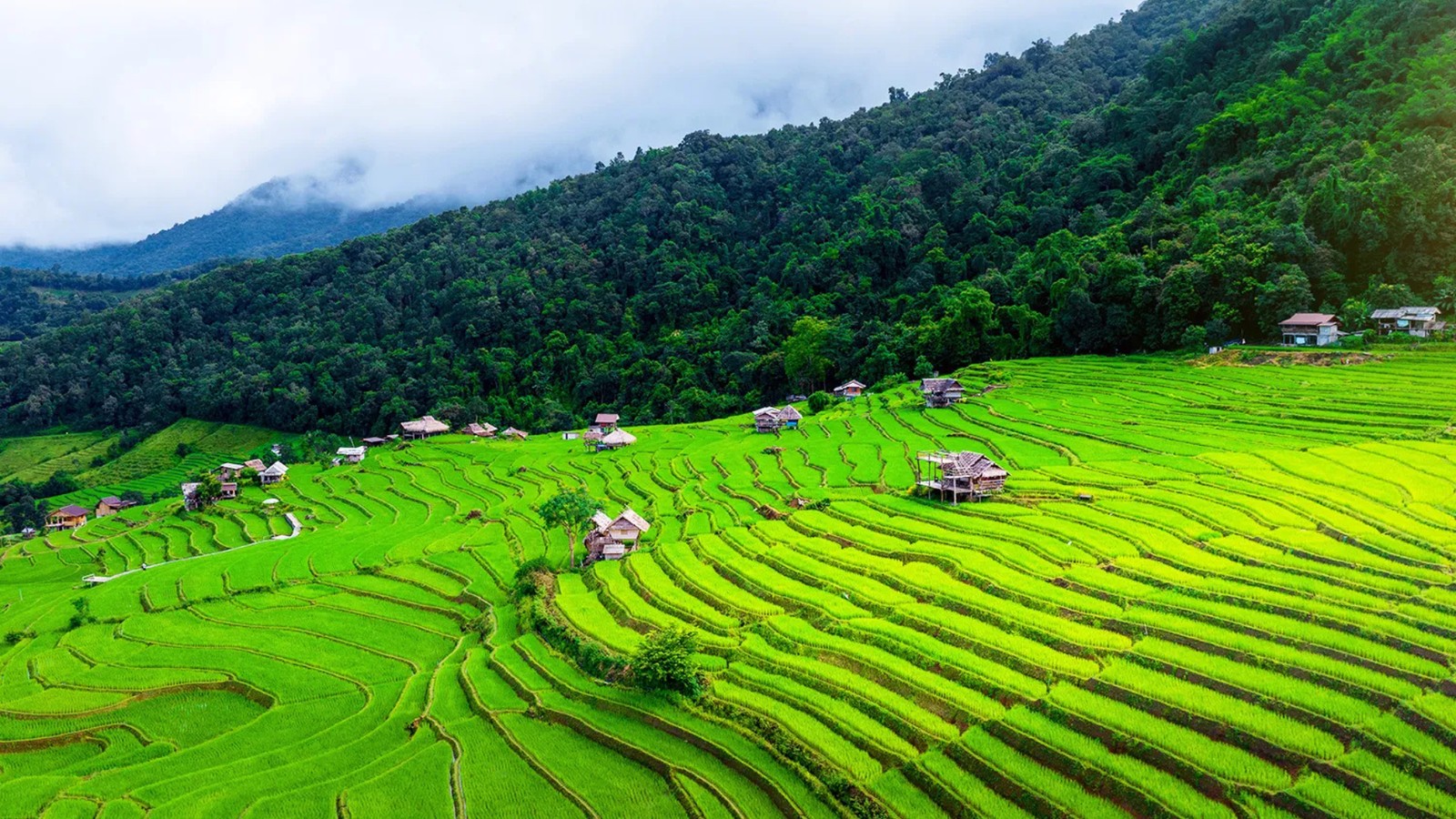 Jour 4: Bienvenue à Chiang Mai, Perle du Nord 1