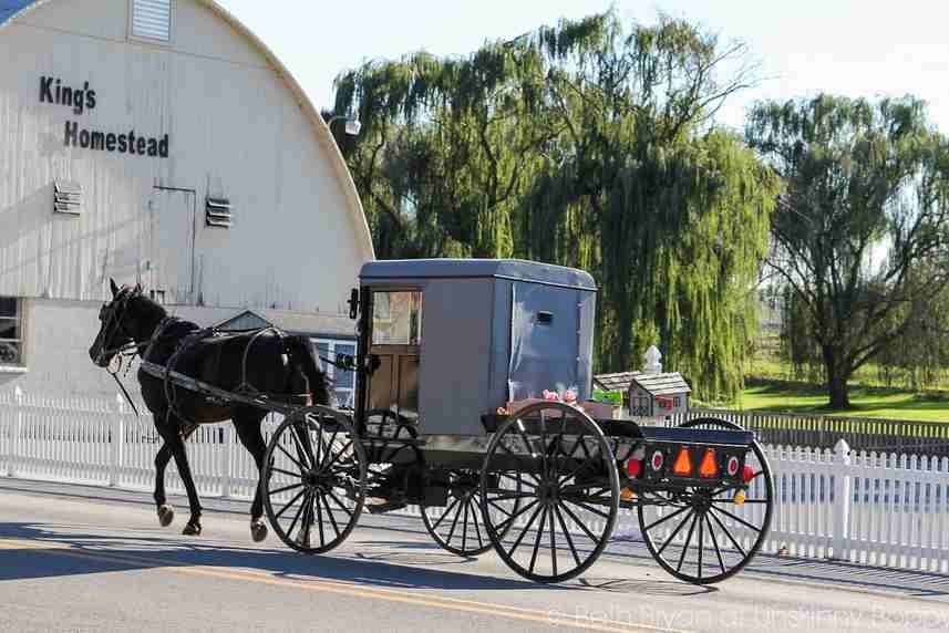 Jour 7: Washington / Pays Amish 230 km 0