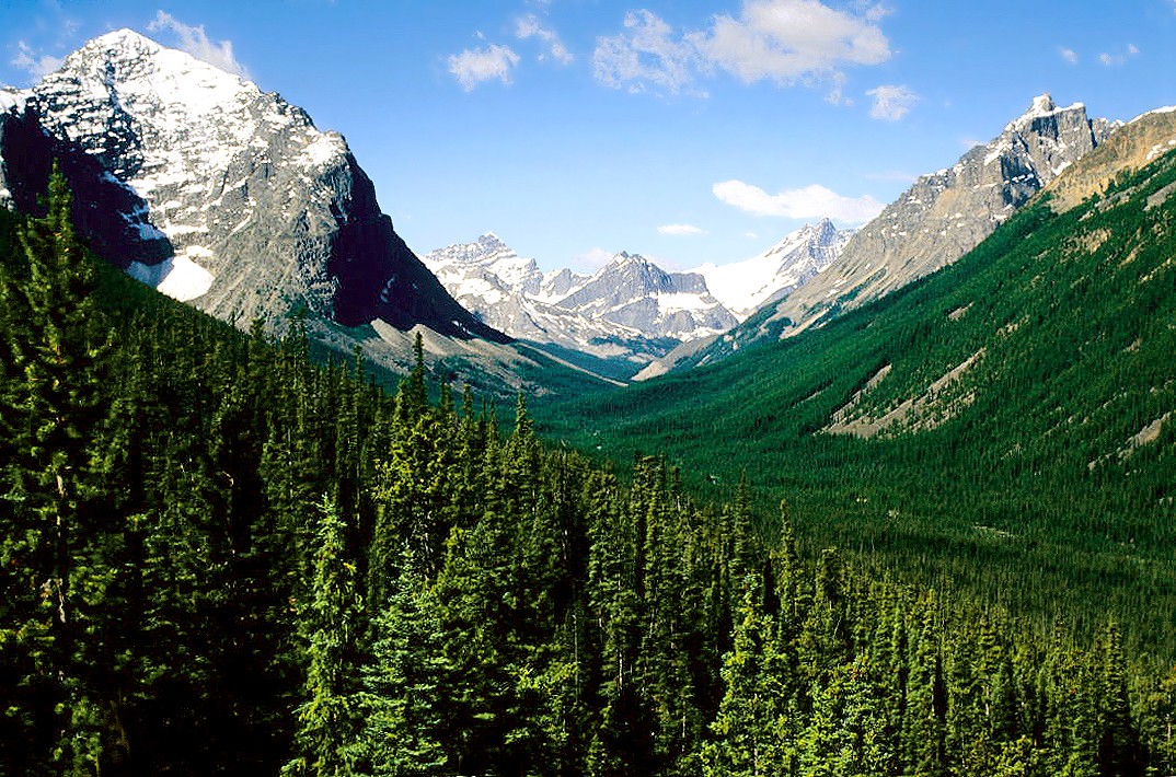 Jour 5: Valemount / Mt Robson / Jasper / Hinton 220 km  0