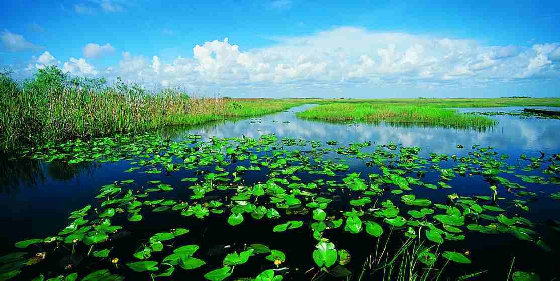 Jour 11: Tampa / Sarasota / Everglades / Florida City 460 km 0