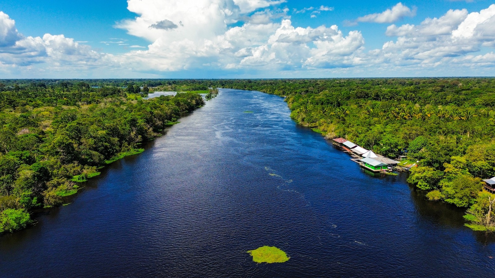 Jour 10: MANAUS > AMAZONIE 0