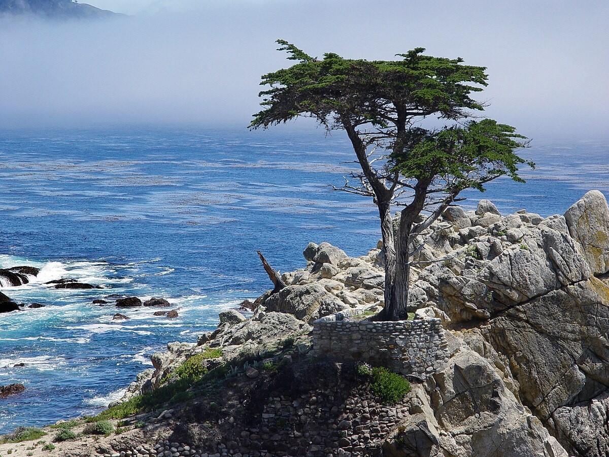 Jour 11: San Francisco / Côte Pacifique / Lompoc 500 km 0
