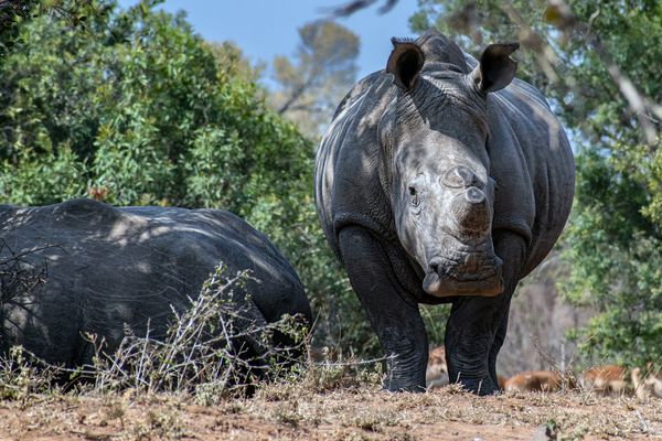 Circuit Splendeurs d'Afrique du Sud & Eswatini