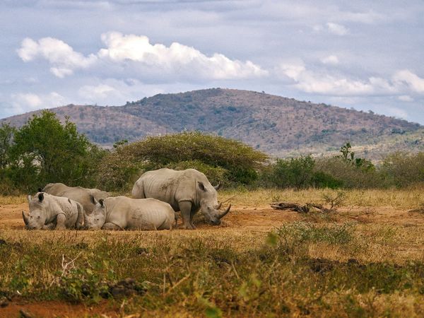 Splendeurs d'Afrique du Sud & Eswatini 11J/08N - 2027 - Limité à 28 pers.