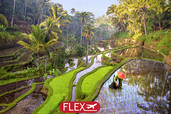 Circuit Splendeurs de Bali - Limité à 20 pers. (Flex) | Bali ...