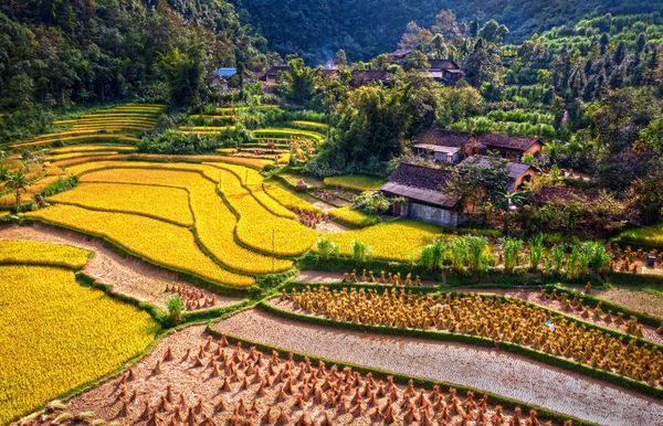 Circuit Splendeurs du Vietnam & Balnéaire Phu Quoc - Limité à 28 pers.