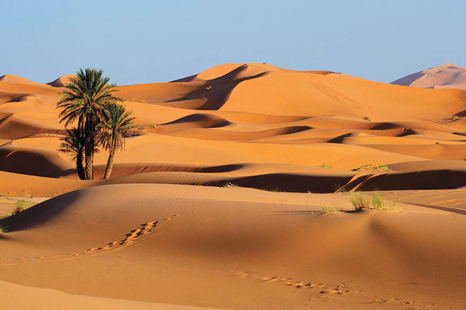 Mon Circuit Privé Aventure en 4x4 dans le Sud Marocain