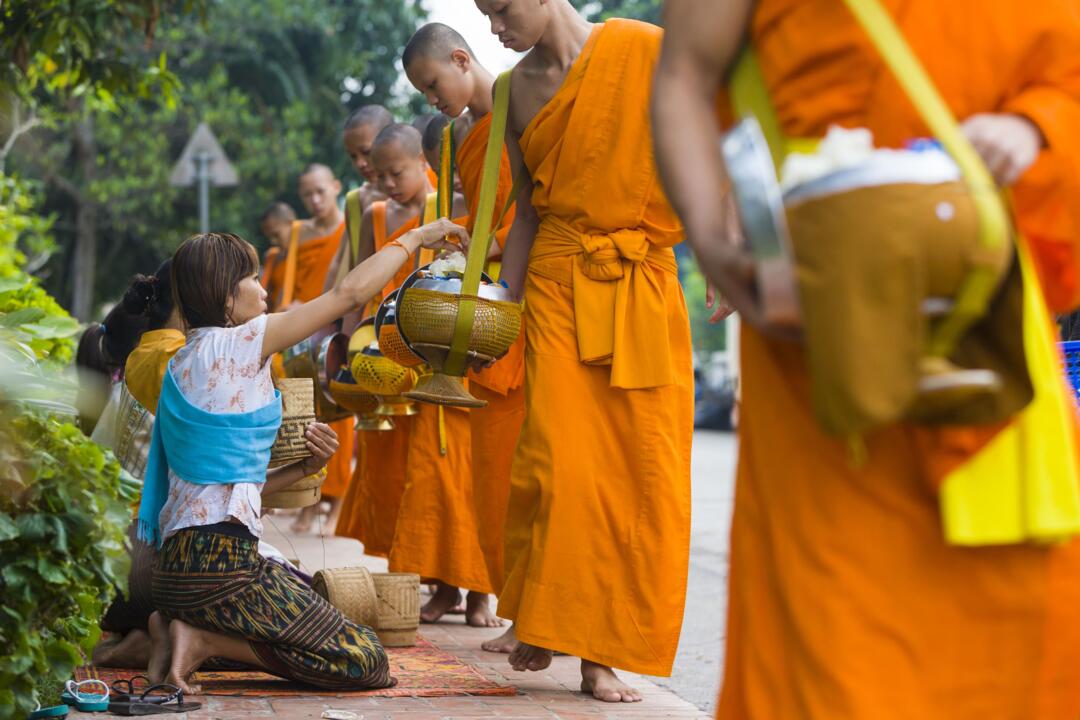 Mon Circuit Privé : Echos d'Angkor et Méditations Laotiennes