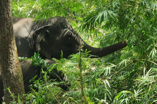 Circuit Cambodge Autrement, Ethique et Responsable en Privatif