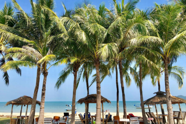 Hôtel Dolphin Bay Resort 3/4*