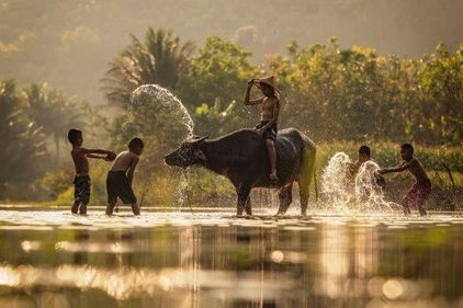 Mon Circuit Privé Cambodge, sur les Traces de Kampuchea
