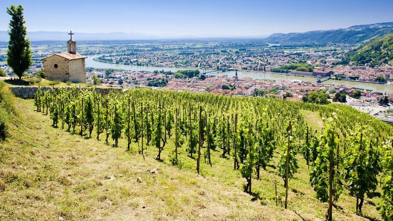 Croisière sur le Rhône : entre Terroir, Histoire et Traditions Locales