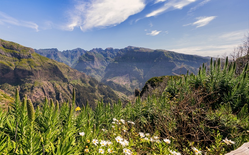 Séjour Découverte Top Culture à Machico 4*