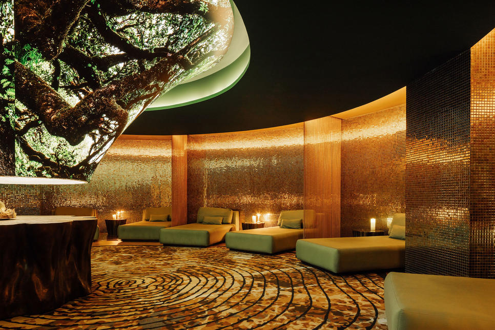 Hôtel The Reserve 5*