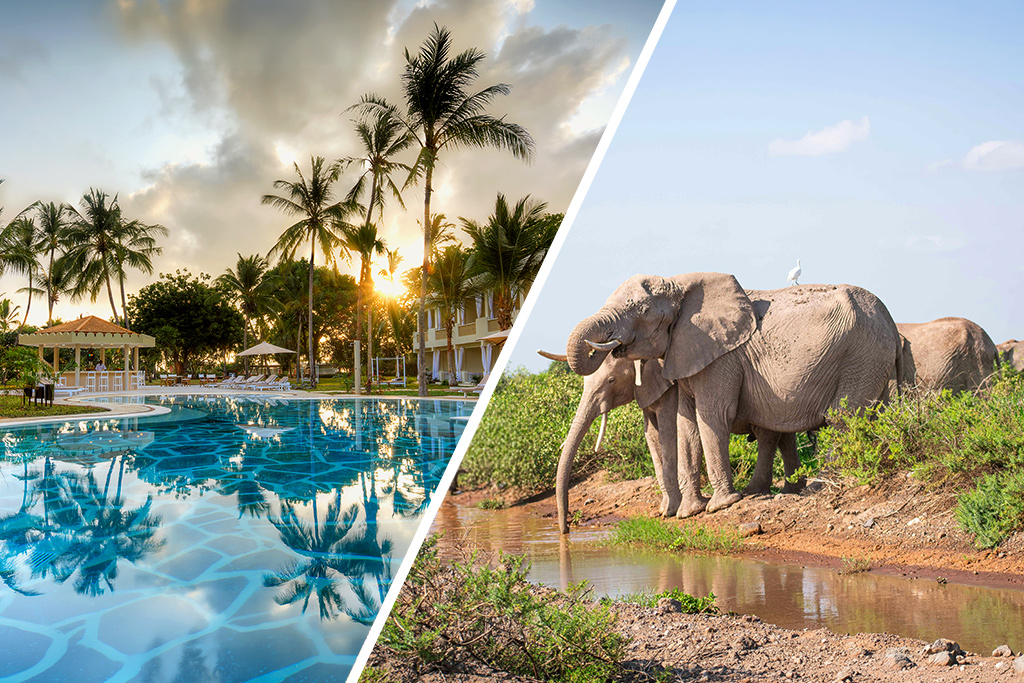 Ôclub Select Diamonds Malindi 5* & Safari dans le Parc National de Tsavo