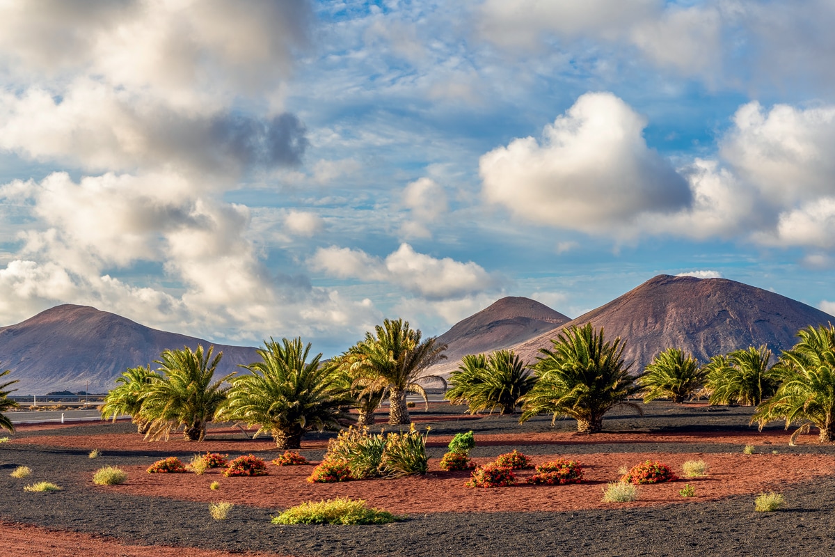 Circuit en étoile à Lanzarote au Club Lookéa Sentido Aequora Lanzarote Suites