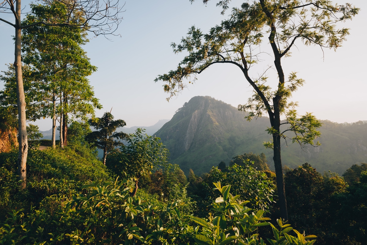 Circuit Saveurs cinghalaises | Sri Lanka - Voyages E.Leclerc