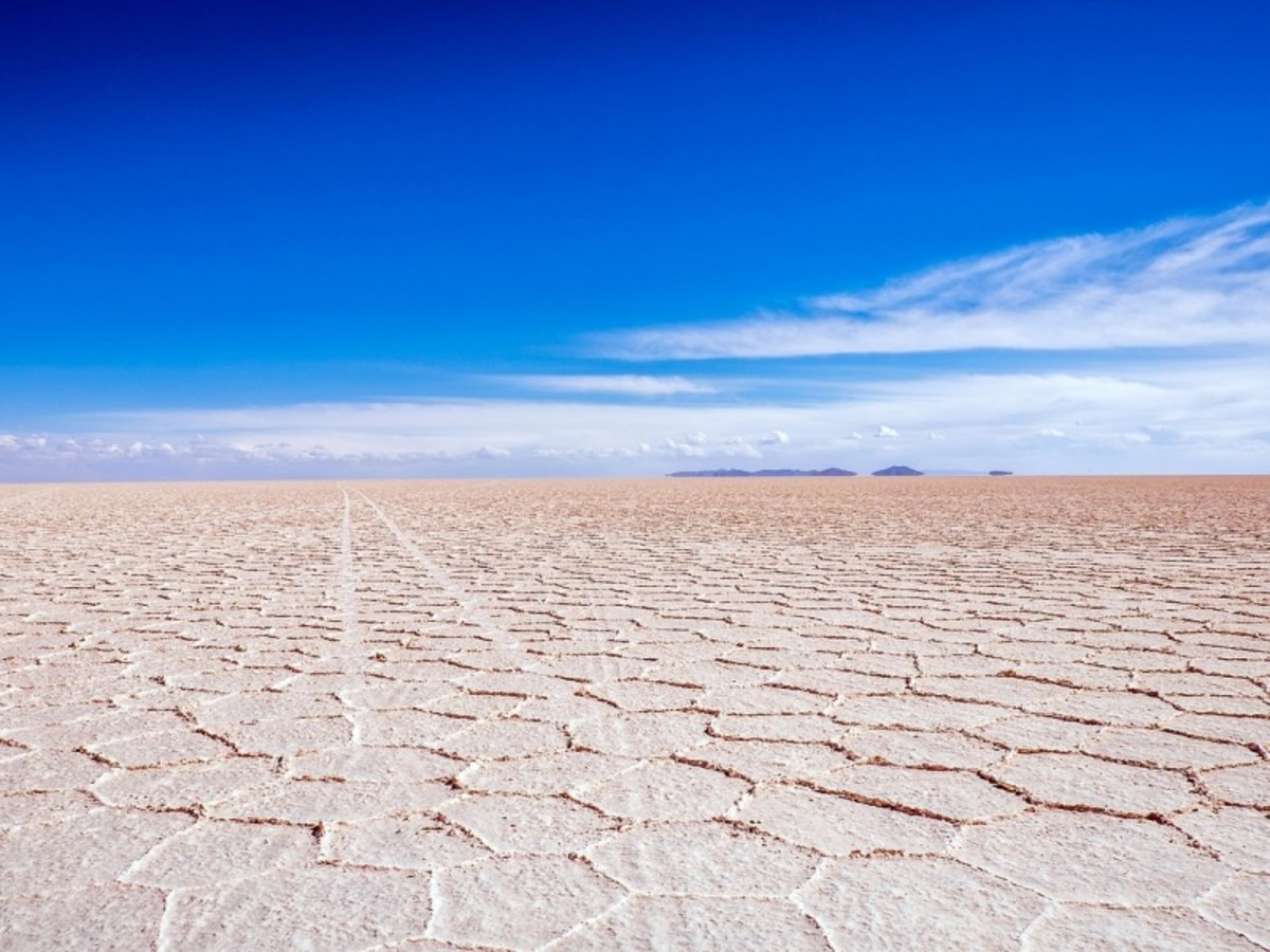 San Pedro De Quemez / Salar D’uyuni : Visite De L´île Incahuasi / Uyuni 0