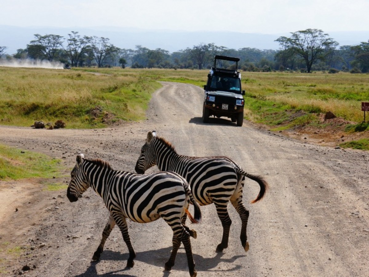 Masai Mara > Lac Nakuru (220 Km) 0