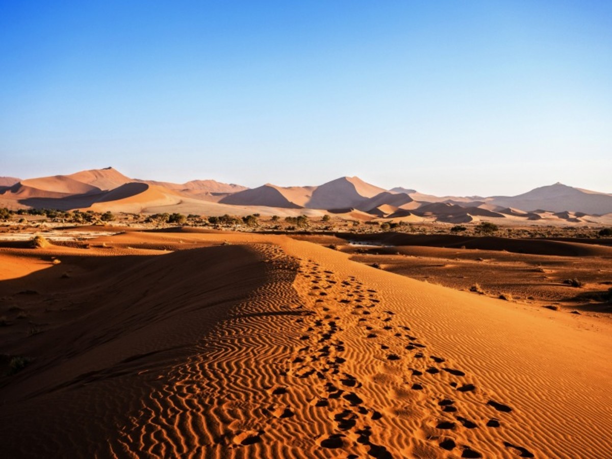 Desert Du Namib (100 Km) 0