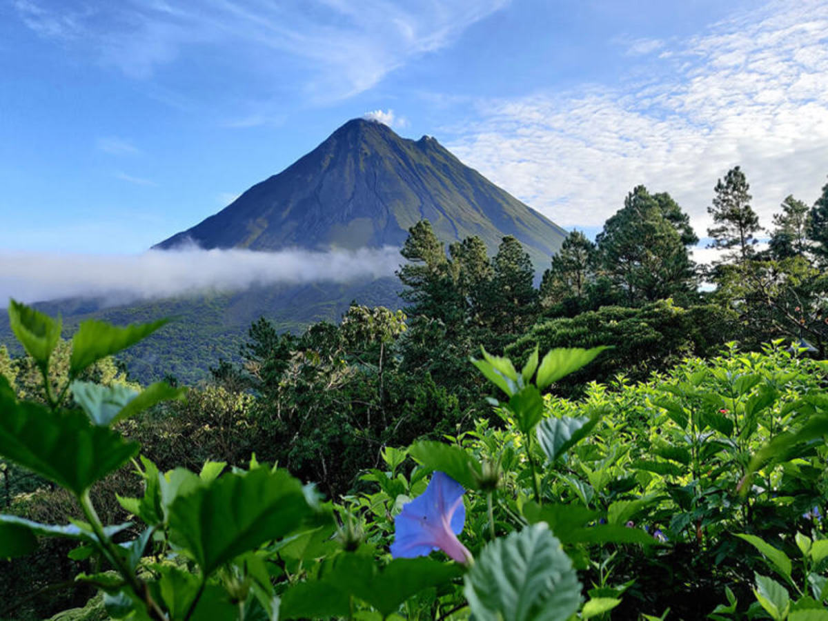 Tortuguero / Volcan Arenal – Vers Une Terre De Feu 0