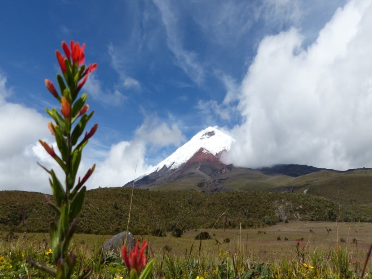 Parc National Cotopaxi 0