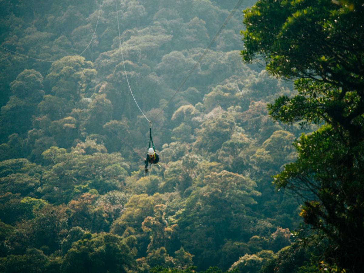 Monteverde 0