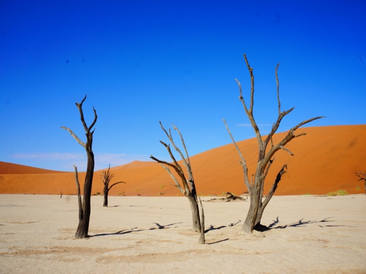 Desert Du Namib > Windhoek 0