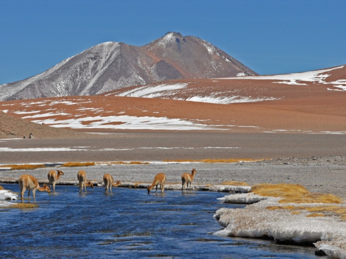 Salar D'atacama & Lagunas Altiplanicas (230 Km / Environ 3 Heures De Route) 0